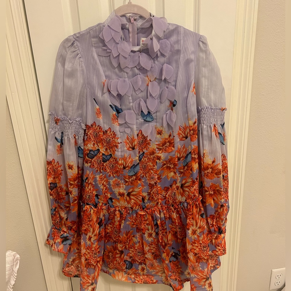 COPY - Beautiful Butterfly Mini Dress